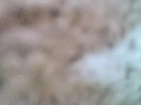 Snapshot of DaddyQuimHot chatting on 02/09/25, 12:08 DaddyQuimHot online show from 02/09/25, 12:08