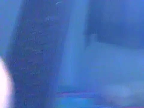 Ian zaenzz online show from 12/07/24, 08:38