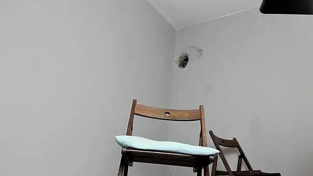 Master Mark Wayne online show from 10/15/25, 06:52