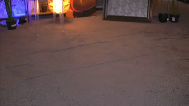 EvaZane online show from 01/29/25, 03:04