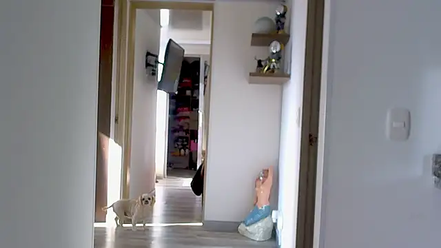 adan eva960 online show from 09/09/25, 12:59