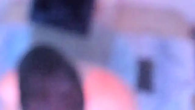 stillwild online show from 12/14/25, 10:20