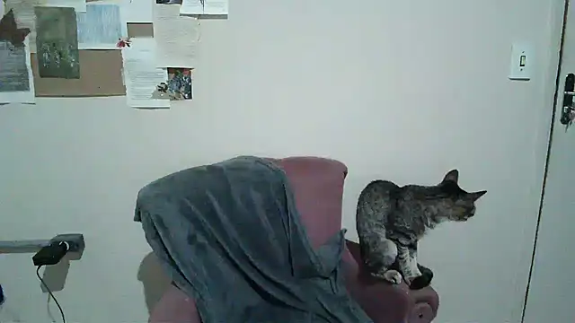 bbyedarling online show from 11/06/25, 01:50