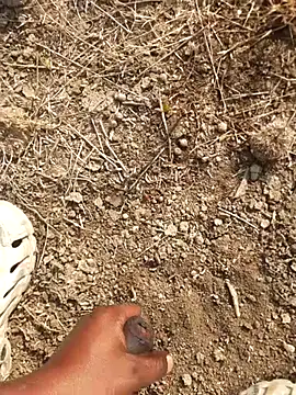 Snapshot of Ajith_mvi chatting on 02/18/26, 03:35 Ajith mvi online show from 02/18/26, 03:35