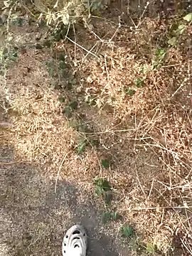 Snapshot of Ajith_mvi chatting on 03/21/26, 11:37 Ajith mvi online show from 03/21/26, 11:37