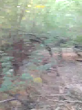 Snapshot of Ajith_mvi chatting on 03/29/26, 02:44 Ajith mvi online show from 03/29/26, 02:44