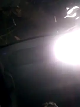 Snapshot of jhon01000 chatting on 11/08/25, 07:19 jhon01000 online show from 11/08/25, 07:19