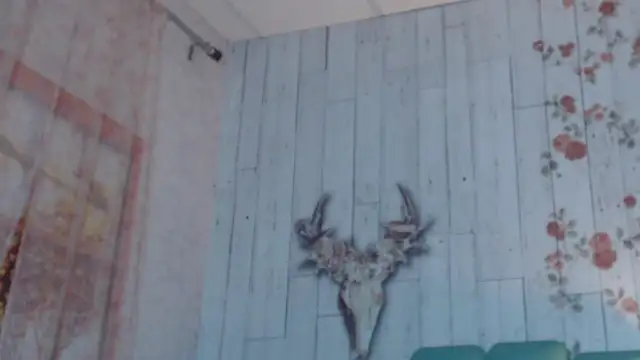 Snapshot of Alison_Simmons chatting on 02/05/25, 11:44 Alison Simmons online show from 02/05/25, 11:44