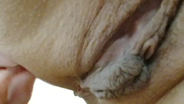 sonyx online show from 03/24/26, 05:40