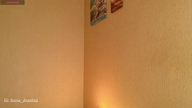 DanArant online show from 10/11/25, 08:51