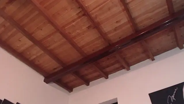 seleneh online show from 03/10/25, 09:40