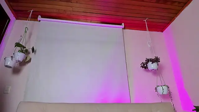 roselinedior online show from 01/20/25, 04:01