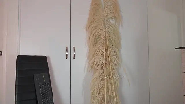 roselinedior online show from 10/20/25, 02:17