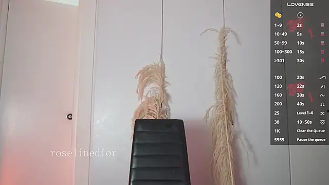 roselinedior online show from 01/15/26, 01:16