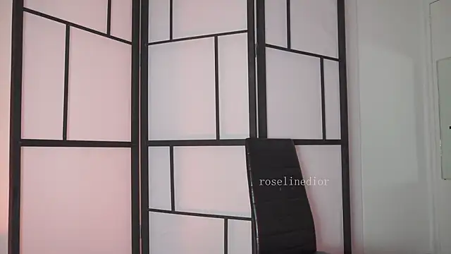 roselinedior online show from 02/24/26, 04:49