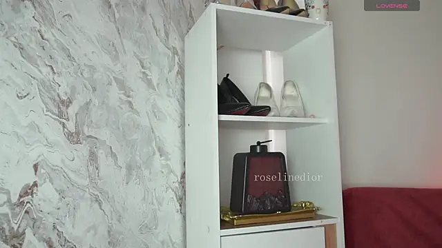 roselinedior online show from 04/07/26, 02:06