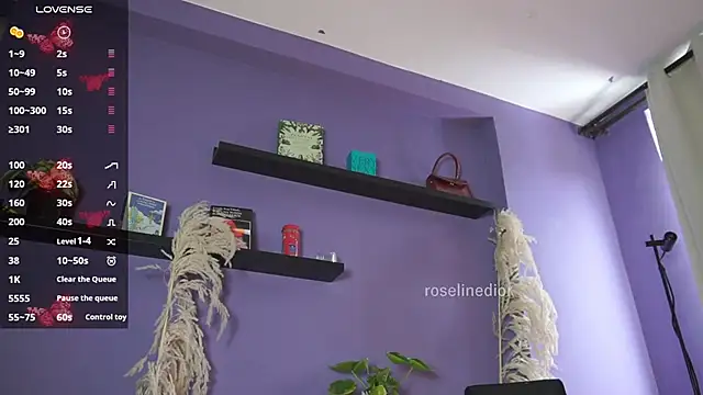 roselinedior online show from 06/08/26, 04:07