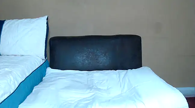 Snapshot of AdelaideT chatting on 12/15/24, 10:47 AdelaideT online show from 12/15/24, 10:47