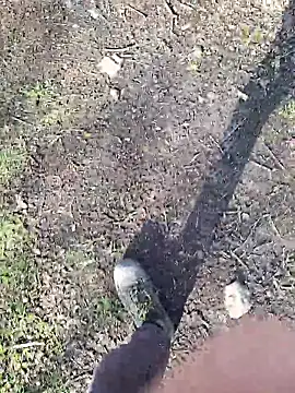 FreezingTie850 online show from 03/11/26, 03:07