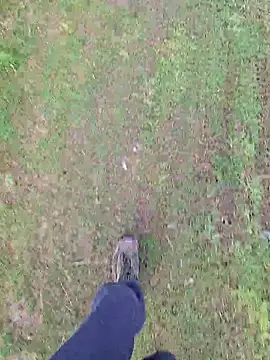 FreezingTie850 online show from 04/16/26, 07:53