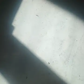 ScrawnyMotor3 online show from 04/22/26, 10:06