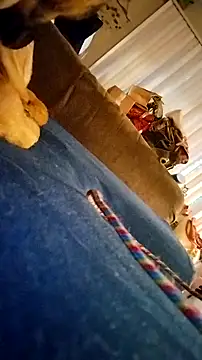 Snapshot of fukurbutt chatting on 02/19/26, 03:41 fukurbutt online show from 02/19/26, 03:41