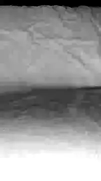 Snapshot of BigAssKi chatting on 02/03/25, 03:06 BigAssKi online show from 02/03/25, 03:06