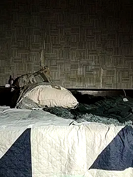 Snapshot of BigAssKi chatting on 09/27/25, 09:53 BigAssKi online show from 09/27/25, 09:53