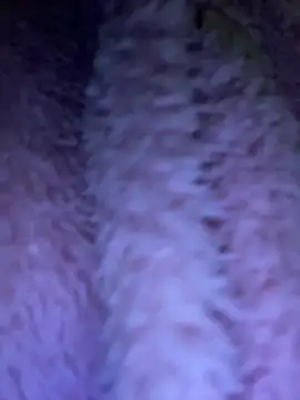 Snapshot of TrenaAnne chatting on 03/21/25, 04:28 TrenaAnne online show from 03/21/25, 04:28