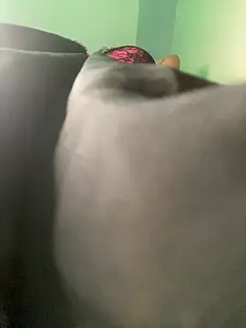 Snapshot of Cherrytowild chatting on 02/17/25, 08:47 Cherrytowild online show from 02/17/25, 08:47