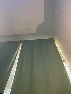 Snapshot of Cherrytowild chatting on 03/06/25, 06:19 Cherrytowild online show from 03/06/25, 06:19