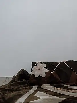 Aaradhya online show from 04/21/26, 01:42