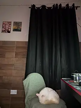 izumikarol online show from 03/11/26, 03:12