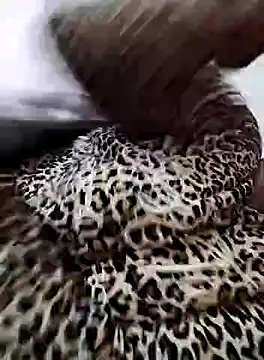 Snapshot of nayakaA7 chatting on 02/05/25, 06:59 nayakaA7 online show from 02/05/25, 06:59