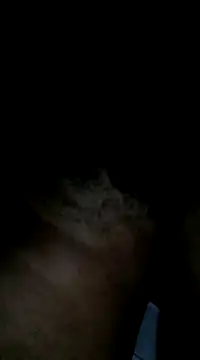 Sergipano fogozinho online show from 01/28/25, 05:00