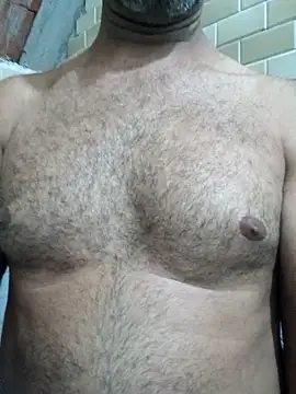 Sergipano fogozinho online show from 11/12/25, 03:07