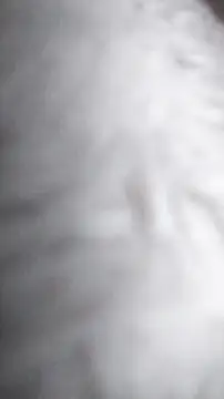 Ajhustler1xh online show from 01/09/26, 11:46