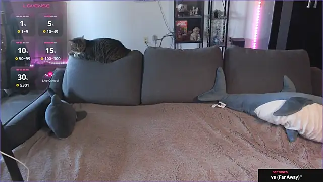 Snapshot of Clairedelilah chatting on 01/21/25, 08:32 Clairedelilah online show from 01/21/25, 08:32