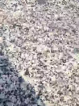 Snapshot of Beijing2000 chatting on 01/30/25, 12:39 Beijing2000 online show from 01/30/25, 12:39