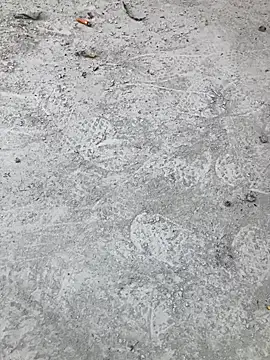 Snapshot of Beijing2000 chatting on 10/11/25, 02:33 Beijing2000 online show from 10/11/25, 02:33