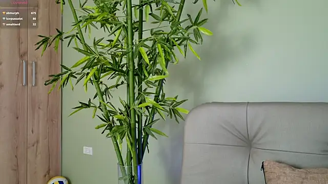 were-Naughty online show from 02/27/25, 11:15