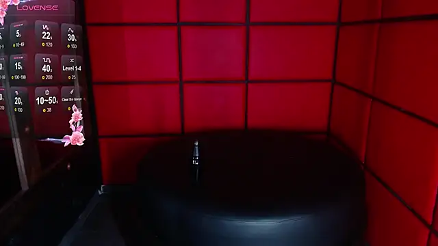 ElianFoxter online show from 12/30/24, 11:28