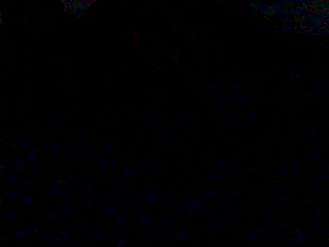Snapshot of mariy_ chatting on 03/16/25, 12:56 mariy  online show from 03/16/25, 12:56