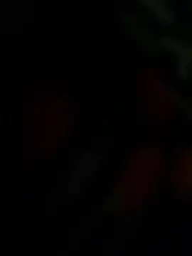 THE-LOVE-BOY online show from 04/25/26, 04:26