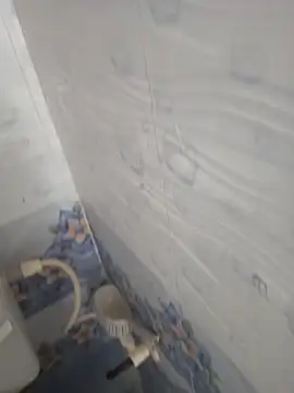 Shivaa- online show from 12/04/25, 09:07