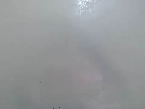 Rasta tattooed online show from 03/18/26, 06:11