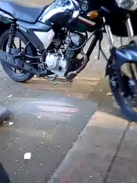 FeloBad online show from 06/28/26, 11:49