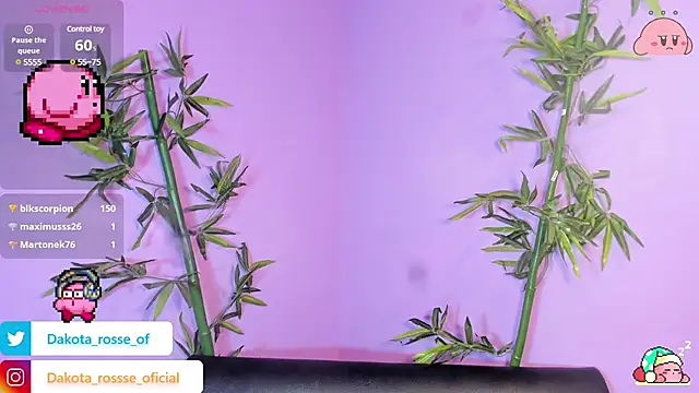 Snapshot of DakotaRosee chatting on 02/17/25, 05:25 DakotaRosee online show from 02/17/25, 05:25