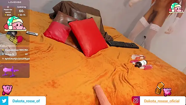 Snapshot of DakotaRosee chatting on 02/21/25, 09:13 DakotaRosee online show from 02/21/25, 09:13