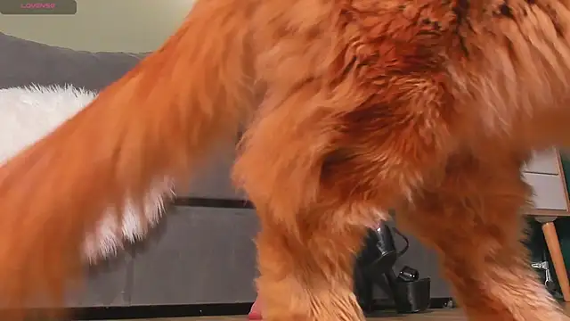 mistresslecter online show from 03/22/26, 03:54